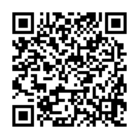 QR code for IIS394