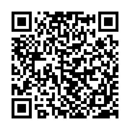 QR code for IIS397