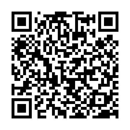 QR code for IIS479