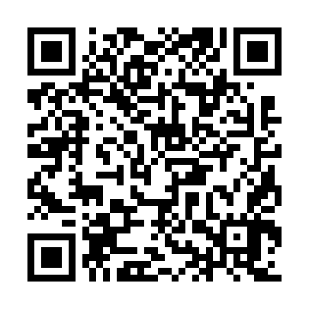 QR code for IIS647