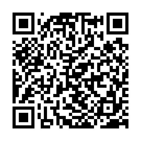 QR code for IIS732
