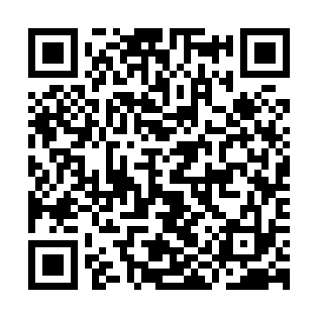 QR code for IIS833