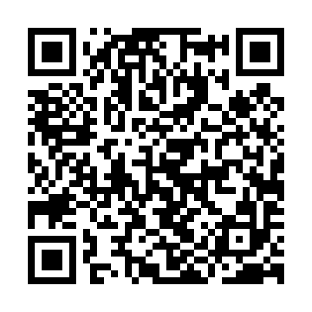 QR code for IIT492