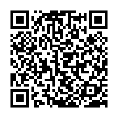QR code for IIU009