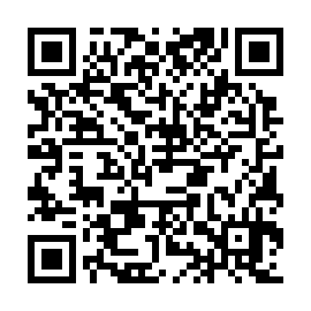 QR code for IIU334
