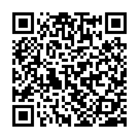 QR code for IIV209