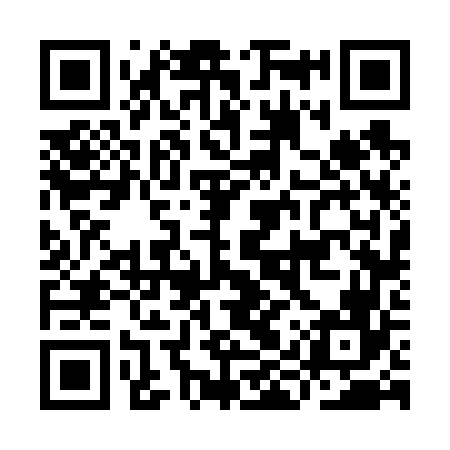 QR code for IIV666