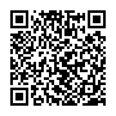 QR code for IIV733