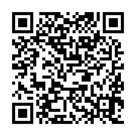 QR code for IIV995