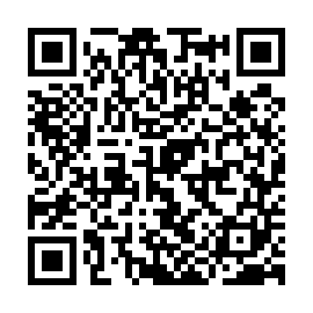 QR code for IIW541