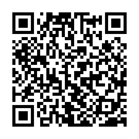 QR code for IIX119
