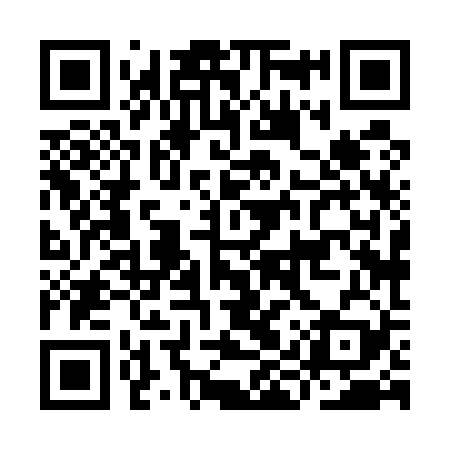 QR code for IIX529