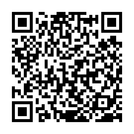 QR code for IIY619