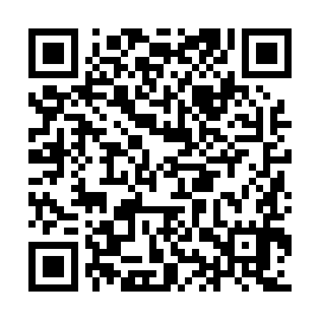 QR code for IIZ095