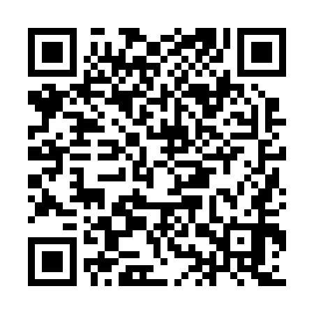 QR code for IIZ250