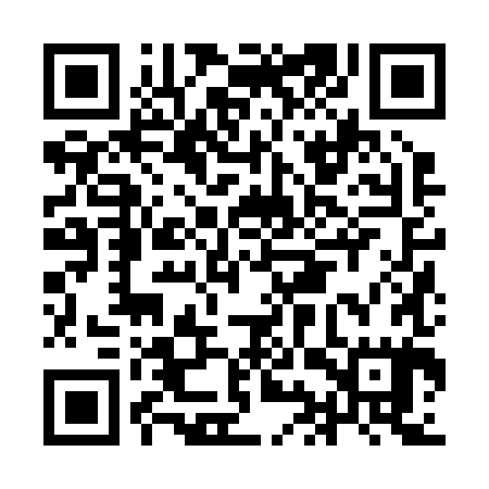 QR code for IIZ285