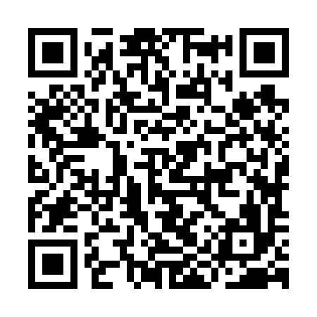 QR code for IIZ696