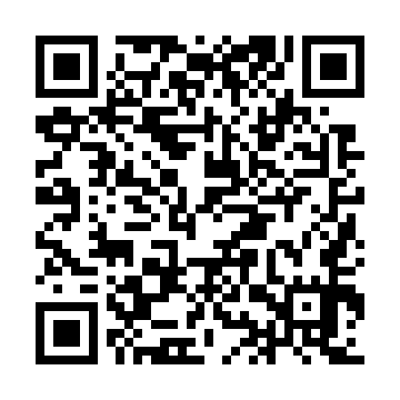QR code for IIZ755