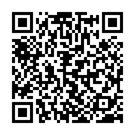 QR code for IIZ838