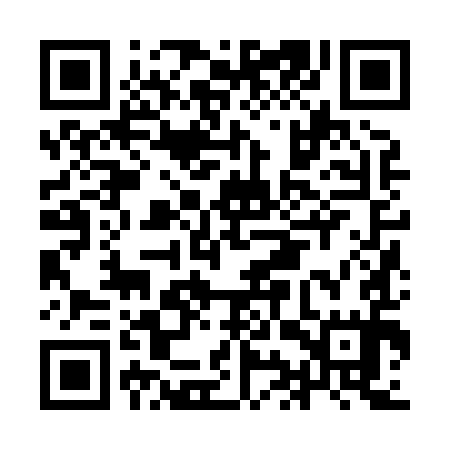QR code for IIZ895