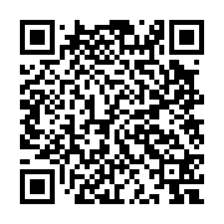 QR code for IJB020
