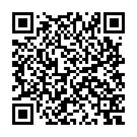 QR code for IJB173