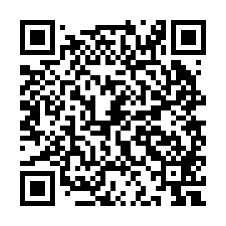 QR code for IJB289
