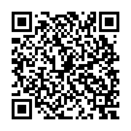 QR code for IJB393