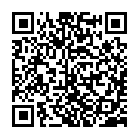QR code for IJB398