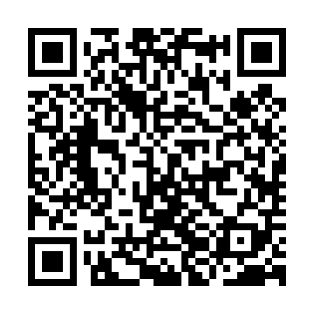 QR code for IJB409