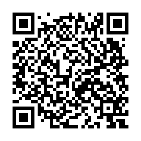 QR code for IJB616