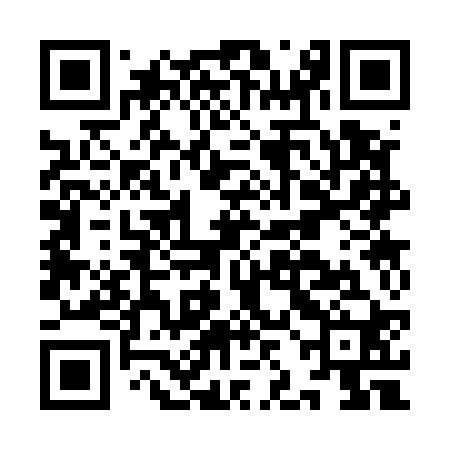 QR code for IJC520