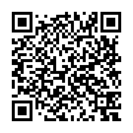QR code for IJC938