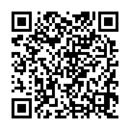 QR code for IJD370