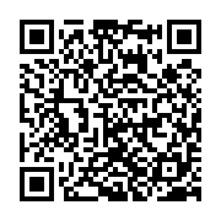 QR code for IJE595