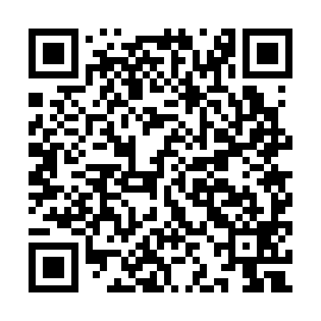 QR code for IJG399