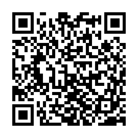 QR code for IJI163