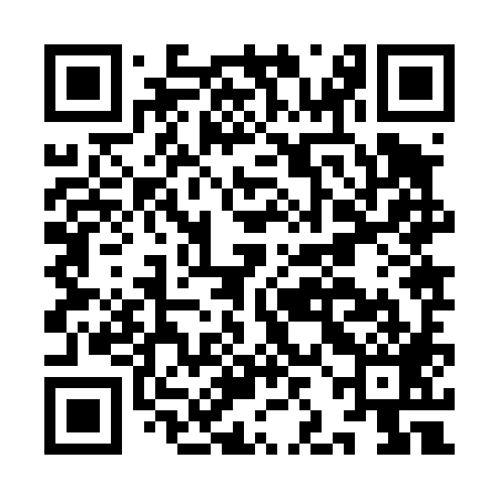 QR code for IJJ489