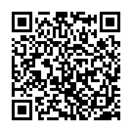 QR code for IJN393