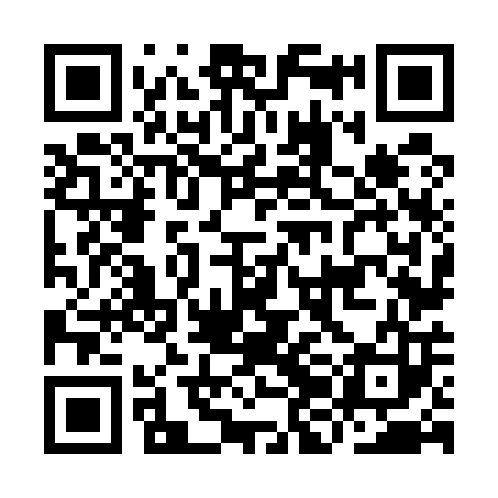 QR code for IJN503