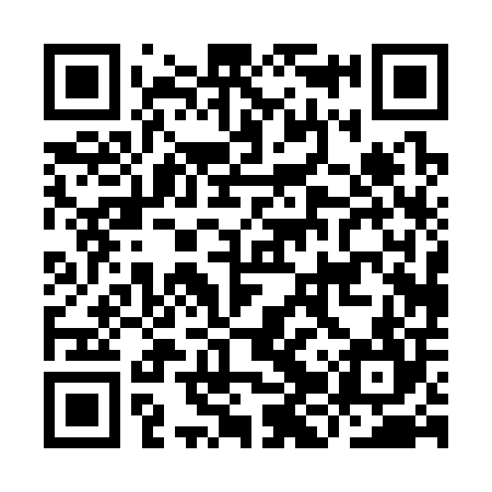 QR code for IJP304