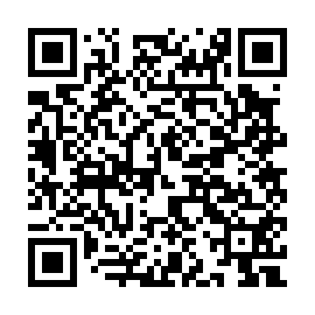 QR code for IJR050