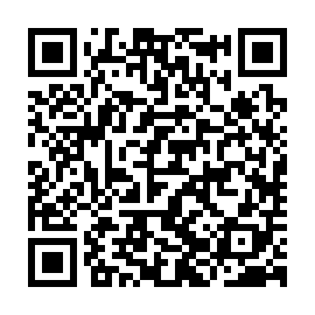 QR code for IJR308