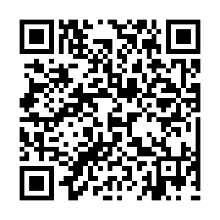 QR code for IJR394