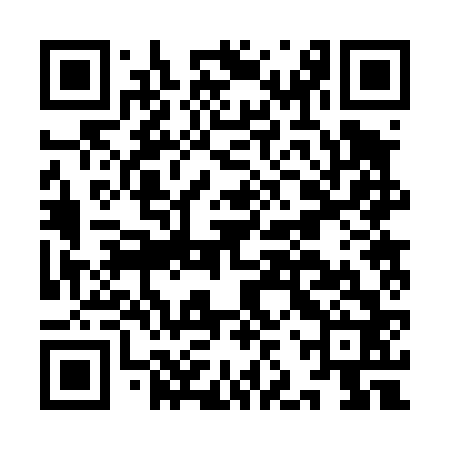 QR code for IJR462