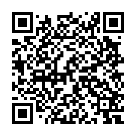 QR code for IJS002