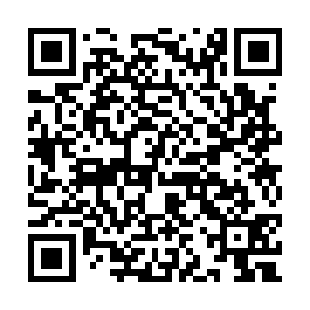 QR code for IJS131