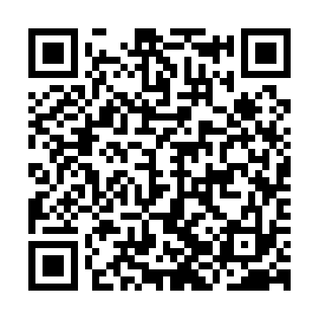 QR code for IJS133