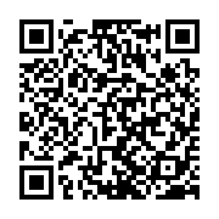 QR code for IJS318