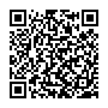 QR code for IJS413